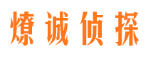 七里河侦探调查公司